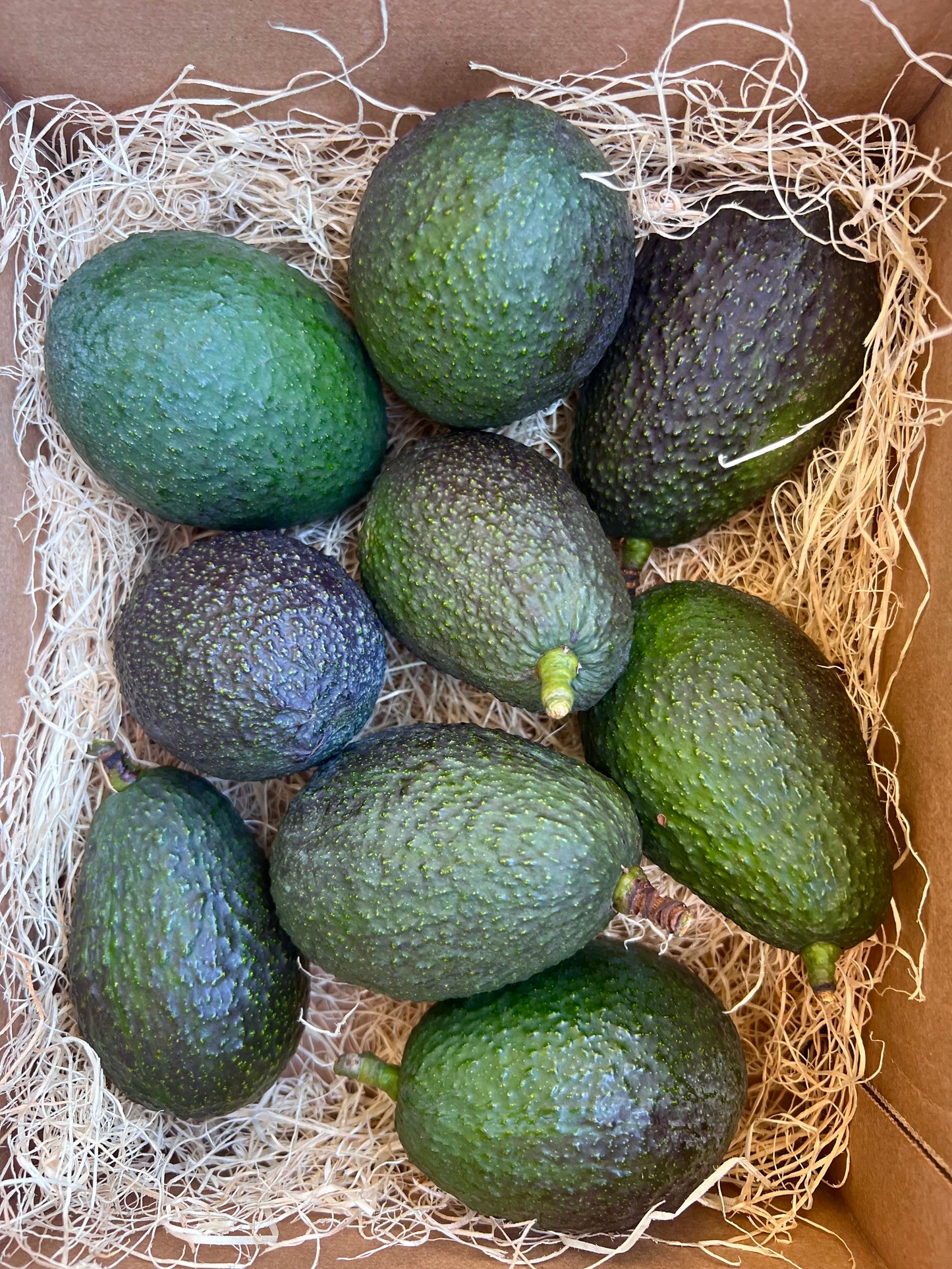 SoCal Avo Box - SUMMER '24