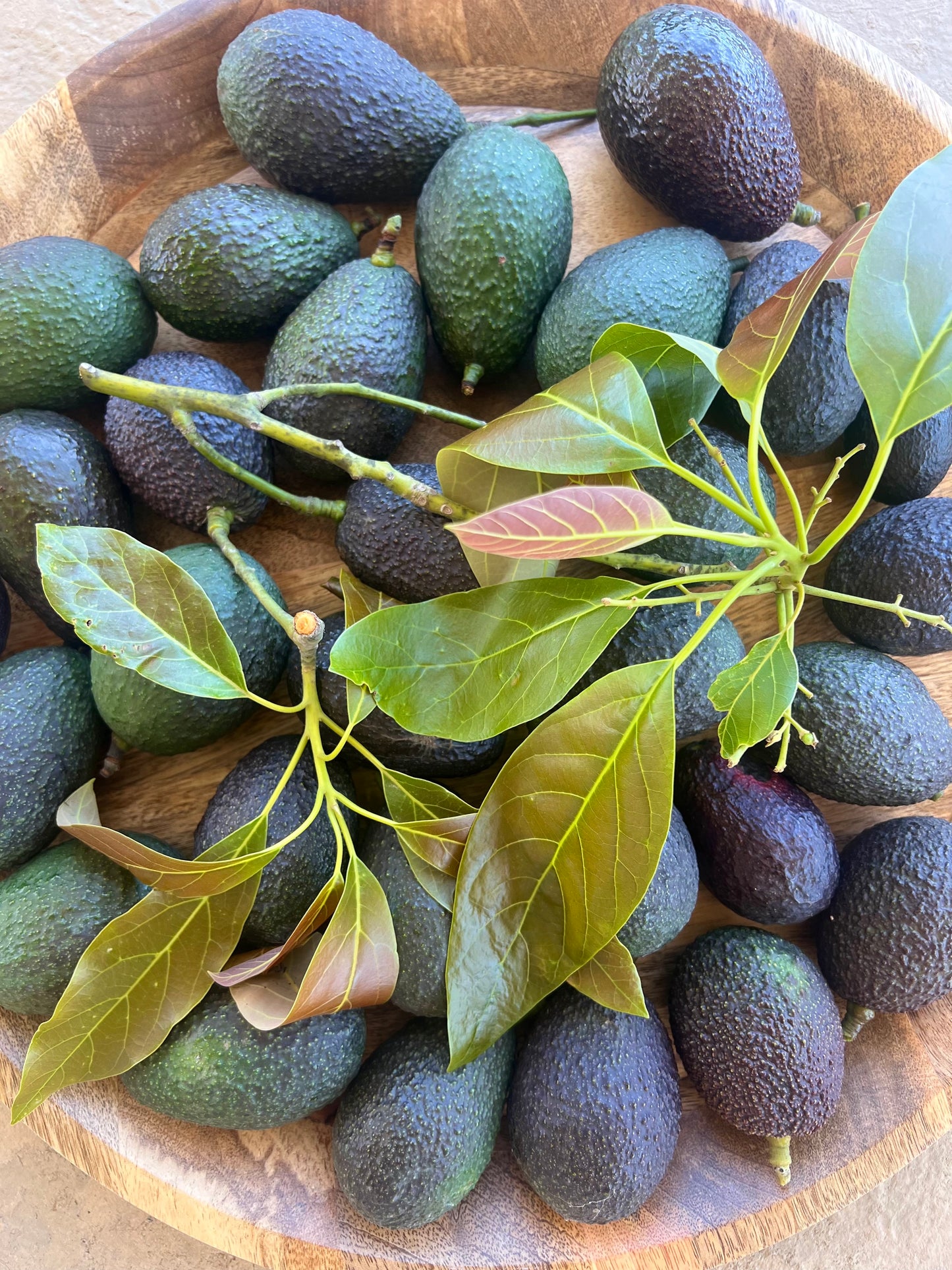 SoCal Avo Box - SUMMER '24